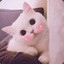 ♥Кисуня♥