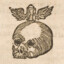 Kadaver