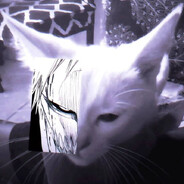 xerathzz avatar
