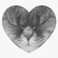 Lucky:D