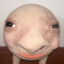 udonaddict