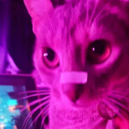 meowra