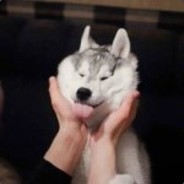 爱的魔力转圈圈。