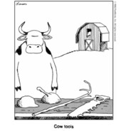 cow tools