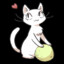 小黑屋里的猫