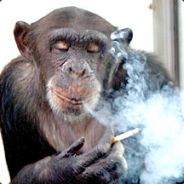 Psychic Monkey(Monk)