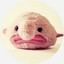 LittleBigBlobfish