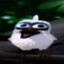 crazy bird