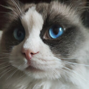 大人，时代变了