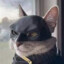 Dédé