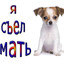 кирюха рейз