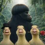 Peek-a-Boo