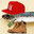 Sardine92i