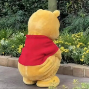 一个平平无奇的靓仔