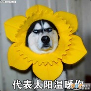 Big Avatar