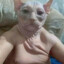Дед Кота Бориса