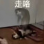 不信