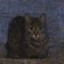 Avatar of guiso