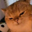 Sup