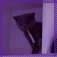 Майор Мошонка