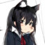 azi cat