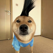 吊大精浓敢日韩红