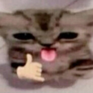 :) - steam id 76561198312501408