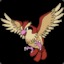 Pidgey