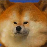 你当像鸟飞往你的山