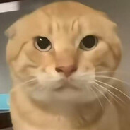 哈基米南北绿豆