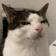 ЗАКОКСОВКА