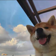 我要励志成为aepx糕手