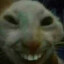 Meow