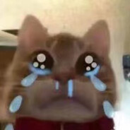 翻斗花园牛战士