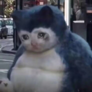 喜见沸当着美嗦狼牛子