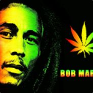 |.BOB. |:::::::::::ii