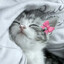 ♥ gralistic