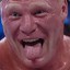 Bot Lesnar