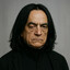 Cerveró Snape