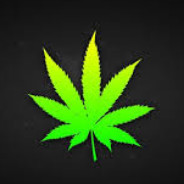 ✪✪Kamiś_King✪✪