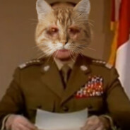 Pan Wojciech J. / + entry