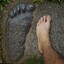 BIGFOOTISREAL