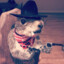 Cowboy Squirrel