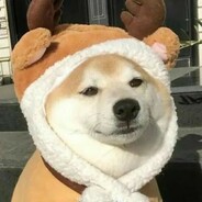 比奇堡之王派大星