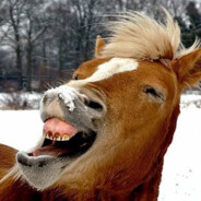 Horsey