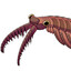 anomalocarisfanone