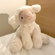 我永远喜欢金金子小姐