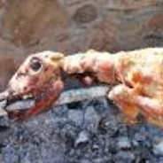 ΜΠΟΥΤΙΑ ΓΑΛΟΠΟΥΛΑΣ