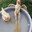 ChoDu_ChicKeNNNNNN