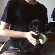 安定区第一猎杀